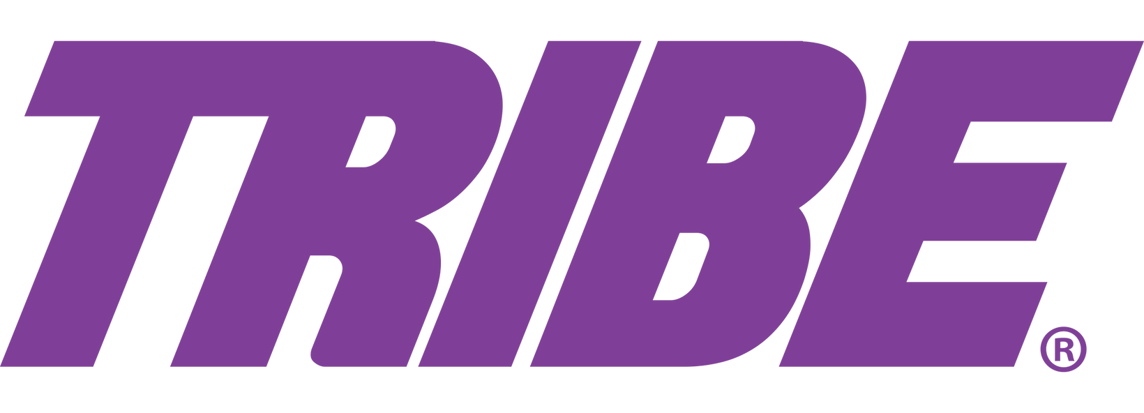 TRIBE logo